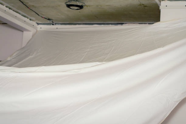 Why a Local Crawlspace Company Is Essential for Home Health
