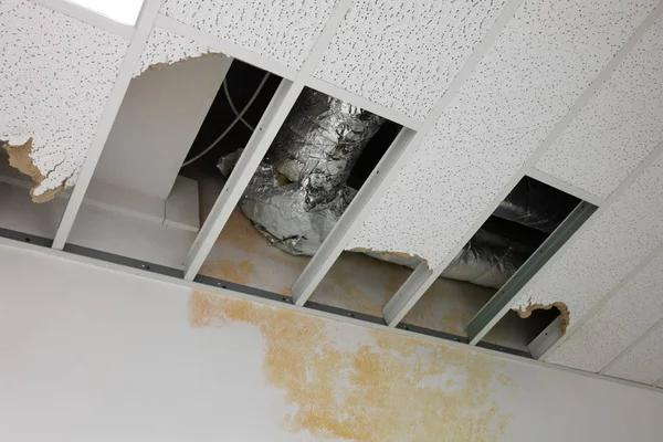 Professional Water Damage Repair Solutions You Can Trust