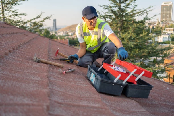 Full-Service Roofing Contractor Albany Providing Comprehensive Roof Care