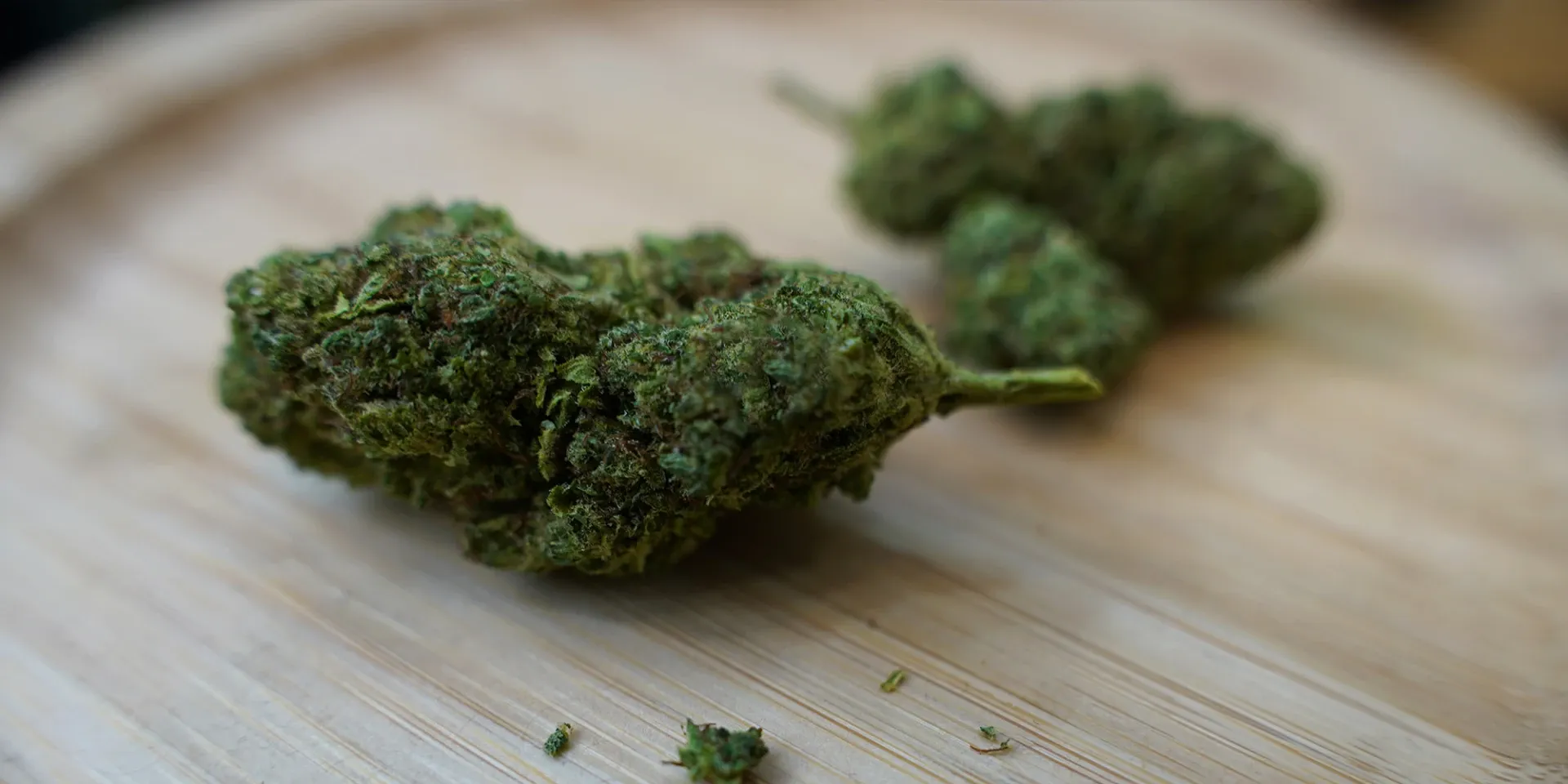 Explore Premium Cannabis Products With Wiet Bestellen Online