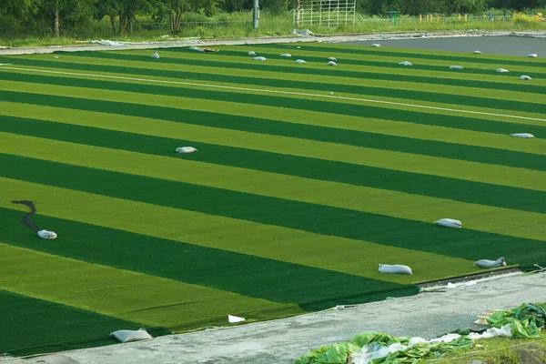 Compare Lawn Care Service Near Me Options for Quality and Value